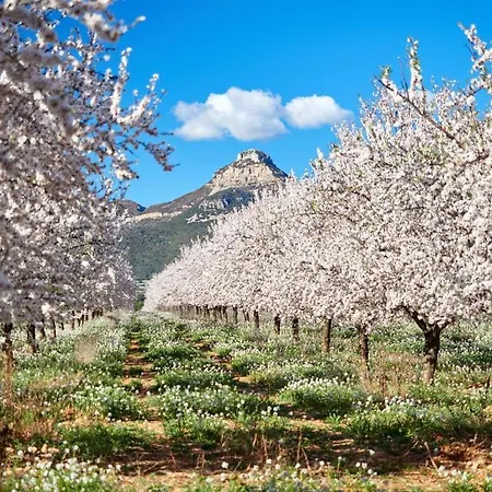 Rural Reina Berta Murillo de Gállego