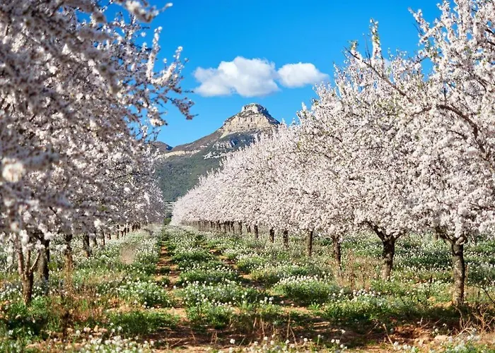 Rural Reina Berta Murillo de Gállego